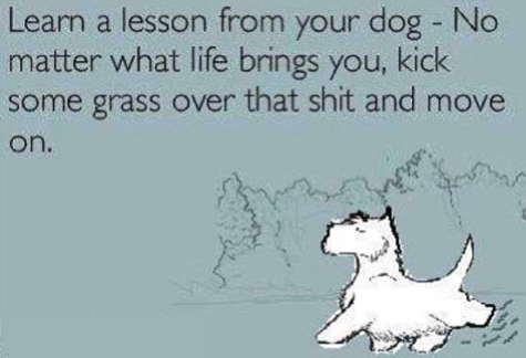 dog lesson