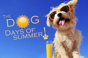 Dog-Days-of-Summer-Logo-web